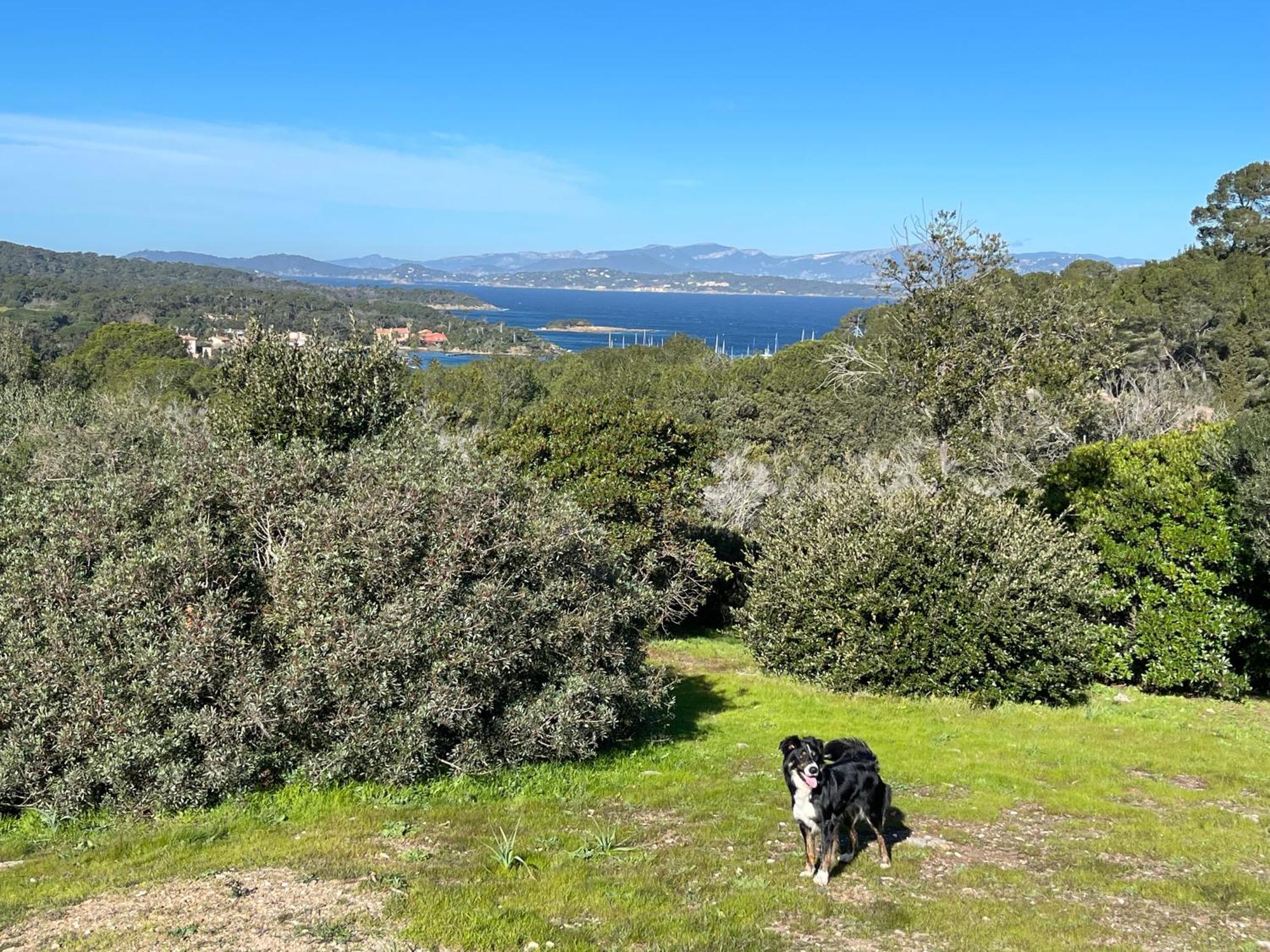 Appartement Latitudes 43 à Porquerolles Extérieur photo